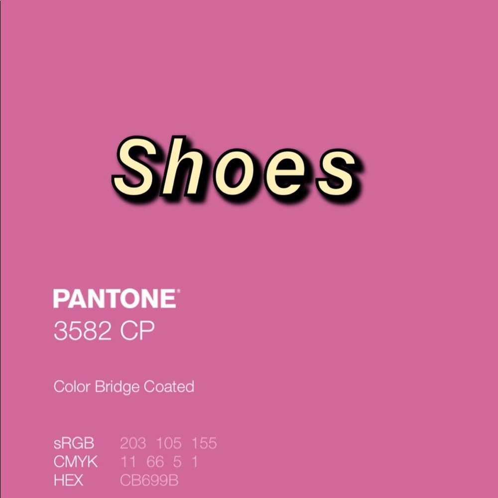 Shoe Section